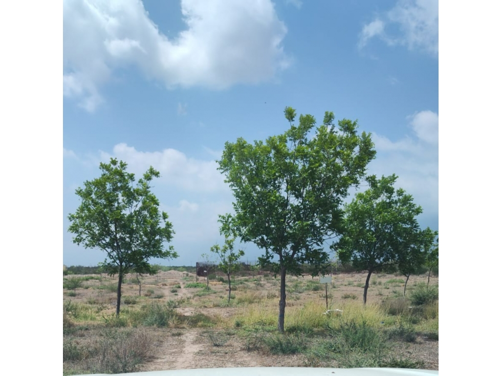 MMC TERRENO EN VENTA EN BUSTAMANTE EN NUEVO LEON - 3