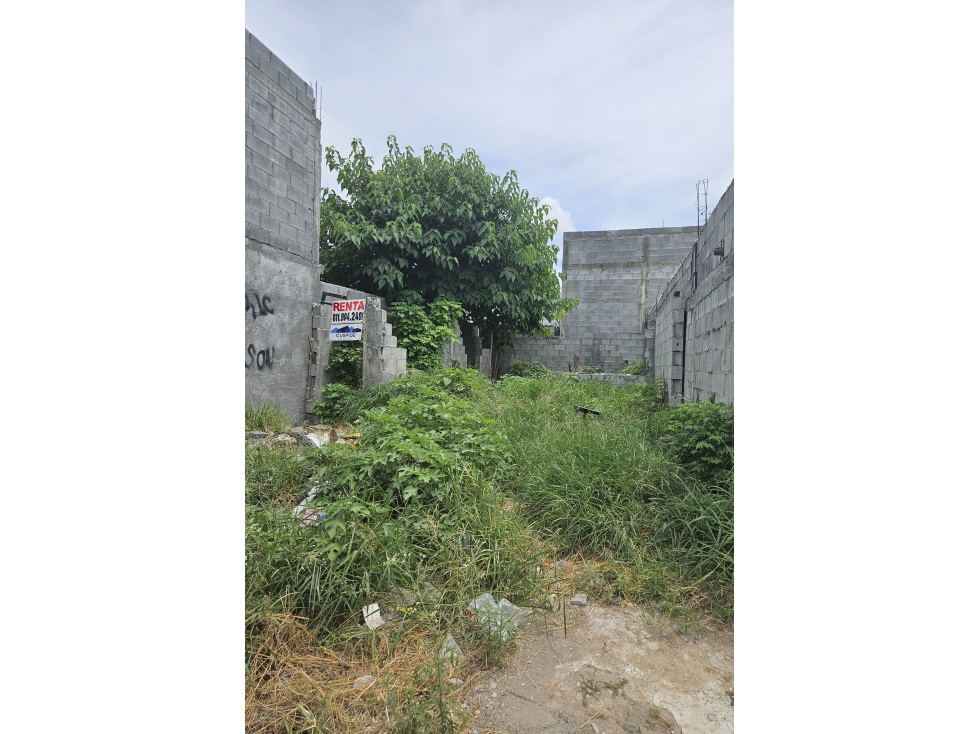 ECL TERRENO EN RENTA EN ALIANZA REAL BARRIO COAHUILA ESCOBEDO - 5