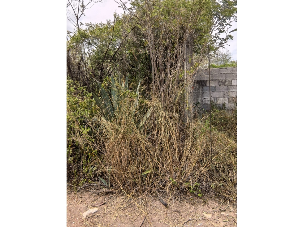 NBA TERRENO EN VENTA EN ZIRANDARO EN JUAREZ NUEVO LEON — foto 5