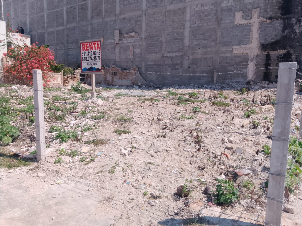 NBA TERRENO EN RENTA EN PROGRESO YUCATAN - 5