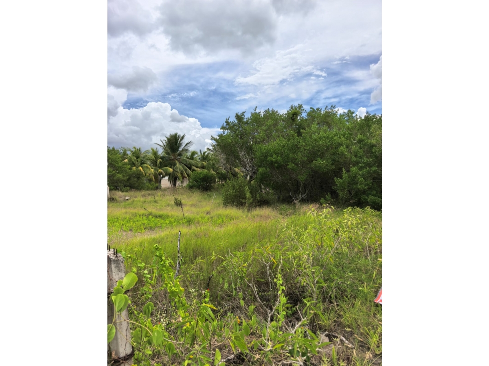 NB TERRENO EN VENTA EN SANTA CLARA MERIDA YUCATAN - 1