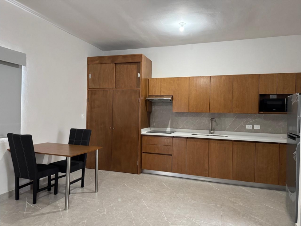 NBA LOFT AMUEBLADO EN RENTA EN LA COLONIA PIO DECIMO EN MONTERREY - 1