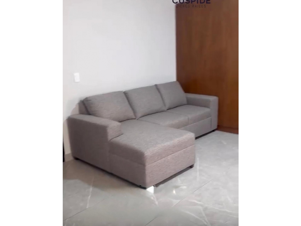 NBA LOFT AMUEBLADO EN RENTA EN LA COLONIA PIO DECIMO EN MONTERREY — foto 3
