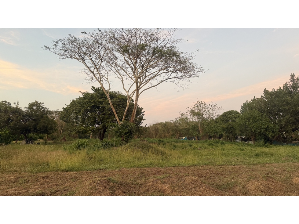 LOTE DE 1.130M2 EN ALEROS DEL COUNTRY - ZONA NORTE $440M — foto 4