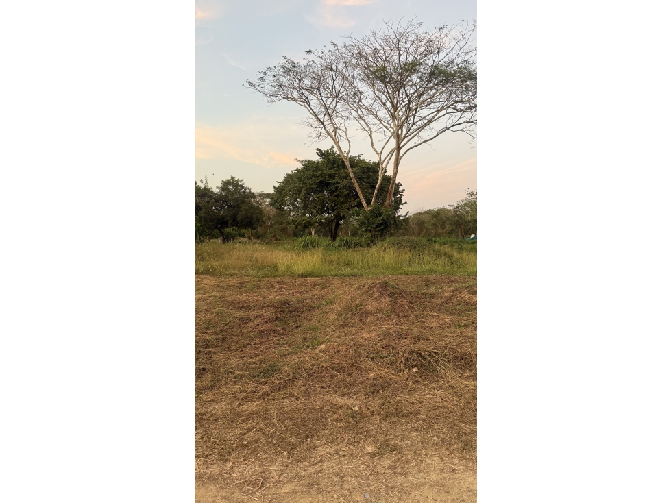 LOTE DE 1.130M2 EN ALEROS DEL COUNTRY - ZONA NORTE $440M — foto 5