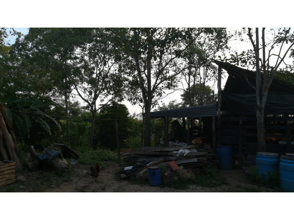 VENDO FINCA EN ARJONA DENTRO DEL CASCO URBANO 17HT - 2