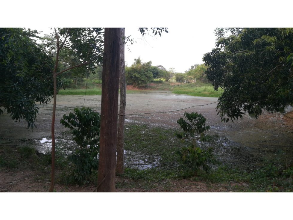 VENDO FINCA EN ARJONA DENTRO DEL CASCO URBANO 17HT - 3