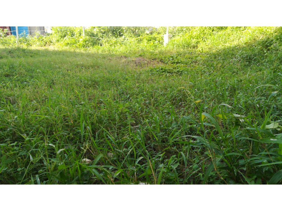 ESPECTACULAR LOTE DE 8X23 EN PROVIDENCIA CARTAGENA — foto 2
