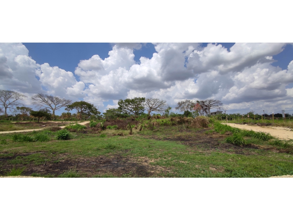 Lote Esquinero de 424M2 en Colinas de Cañaveral Turbaco - 2