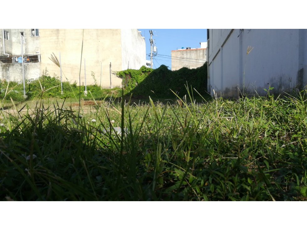 ESPECTACULAR LOTE DE 8X23 EN PROVIDENCIA CARTAGENA — foto 3