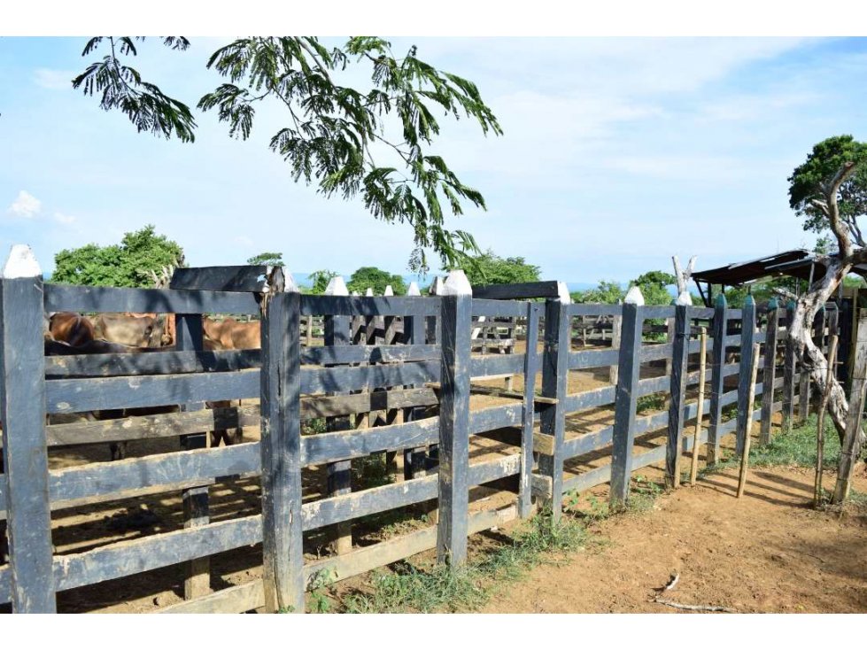 Finca en vereda Bálsamo, zona rural Arjona, Bol - 6