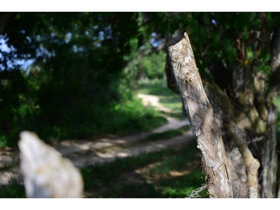 Finca en vereda Bálsamo, zona rural Arjona, Bol - 3