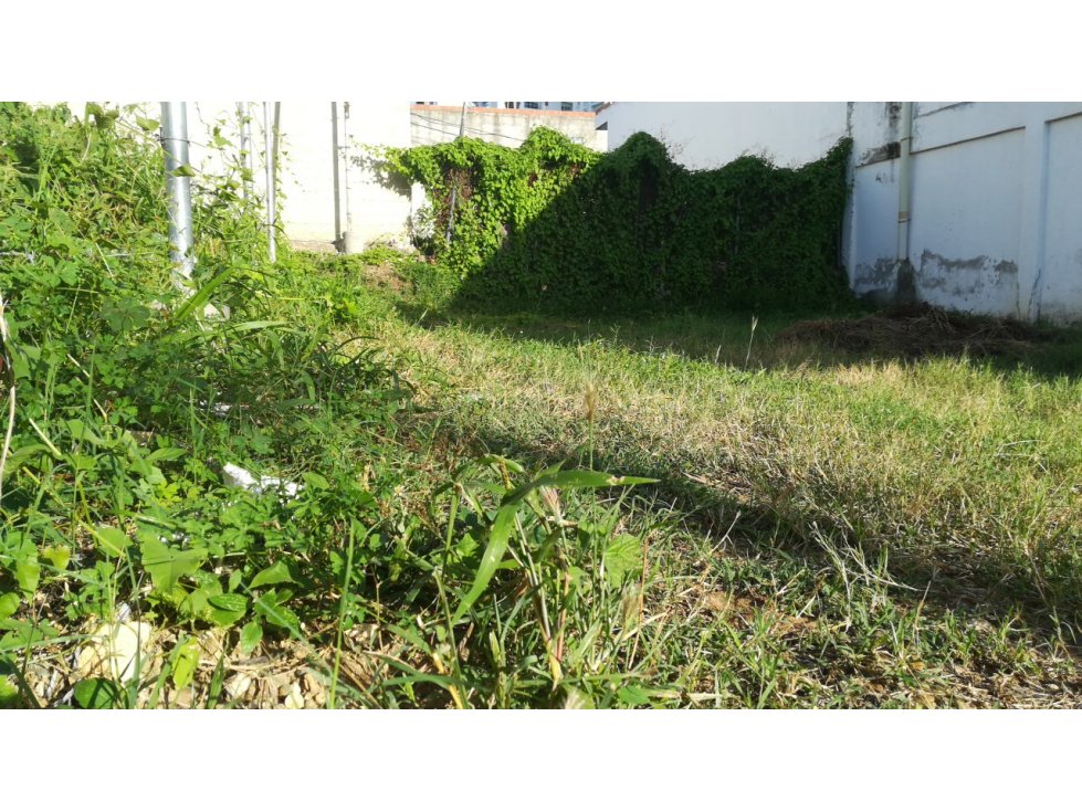 ESPECTACULAR LOTE DE 8X23 EN PROVIDENCIA CARTAGENA — foto 5