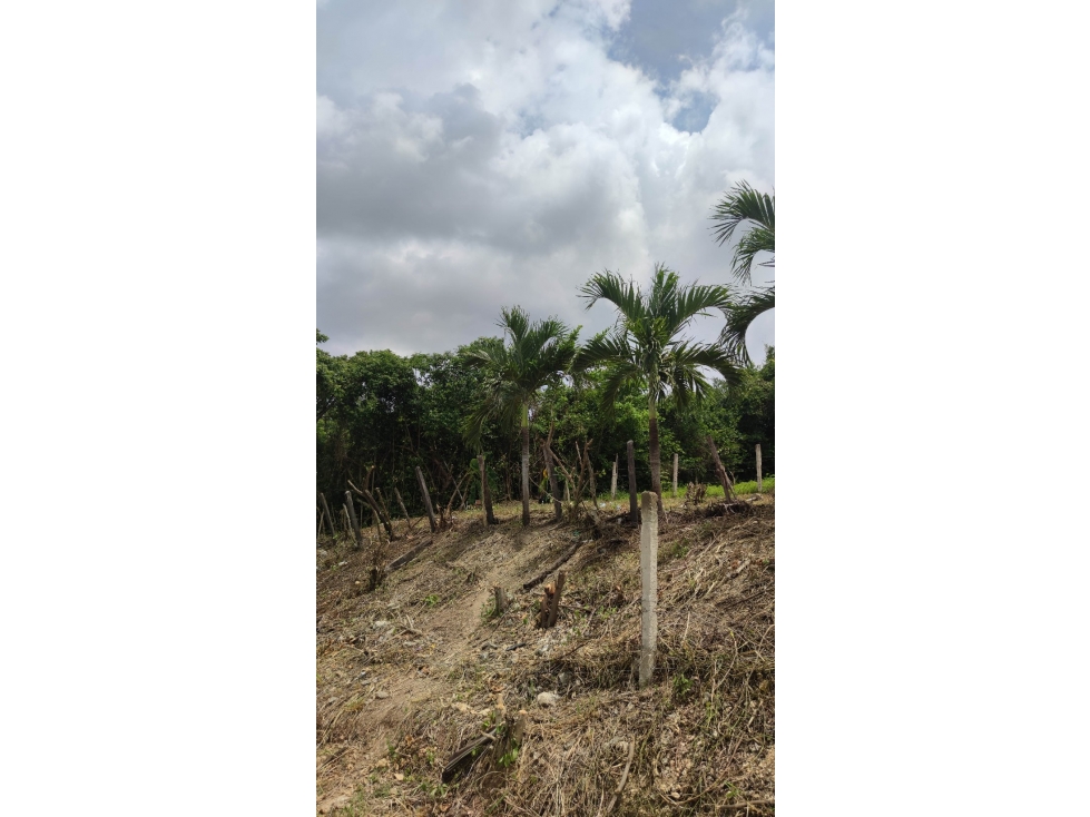 Lote Esquinero de 8.40 x 20 Conjunto cerrado, Los Laureles - Turbaco - 5