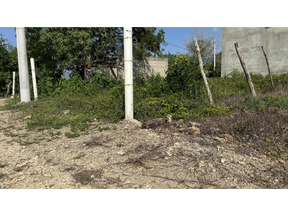 Venta Lote en Monte Carmelo, Turbaco - 6