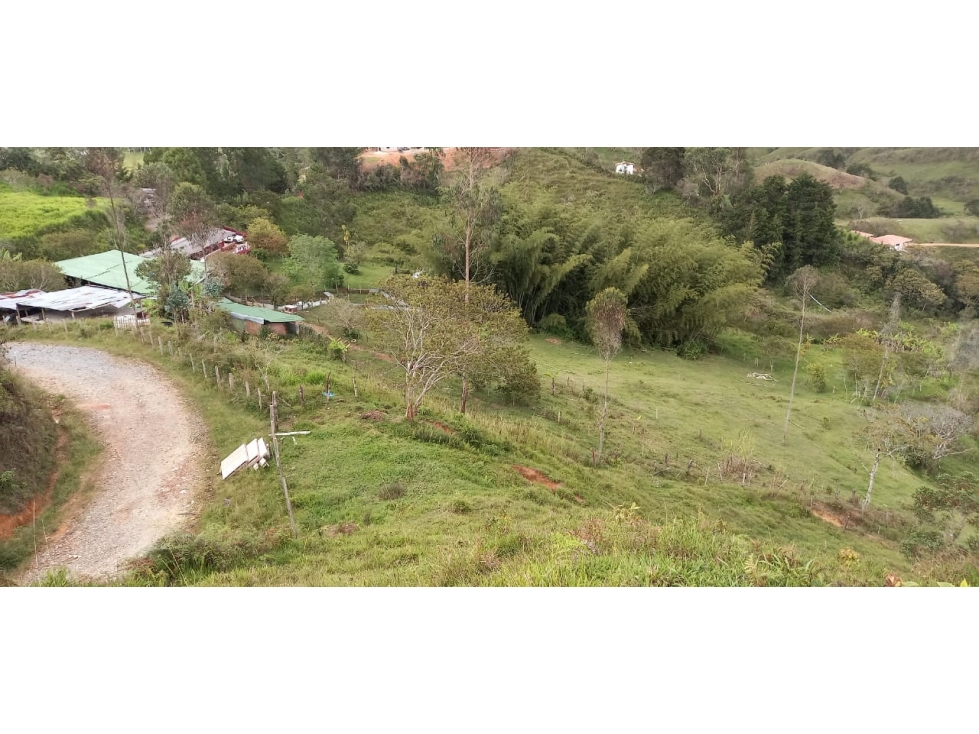 Lotes en venta en Santo Domingo, Antioquia - 4