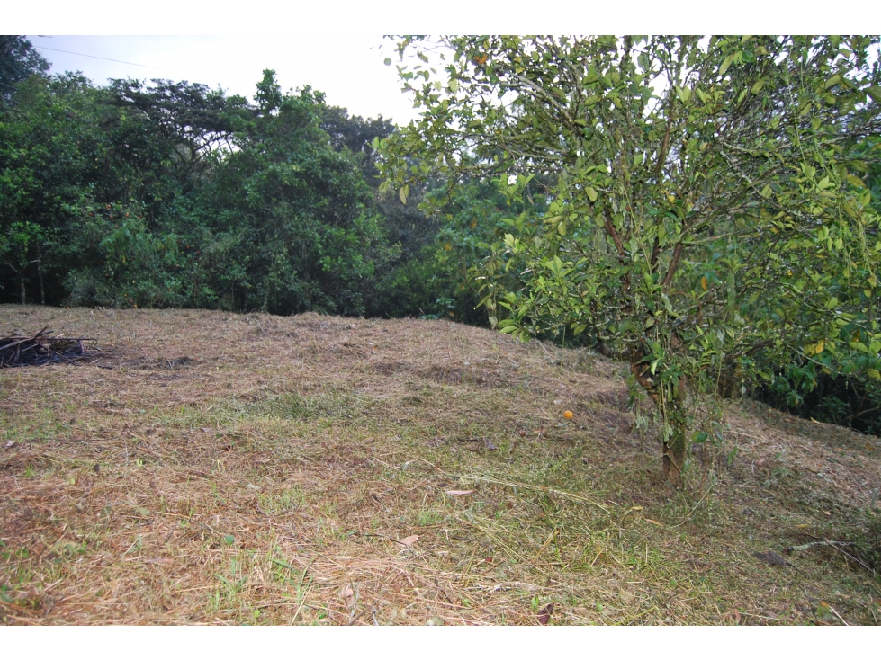 Lote en venta en Vereda La Montañita, Copacabana, Antioquia — foto 4