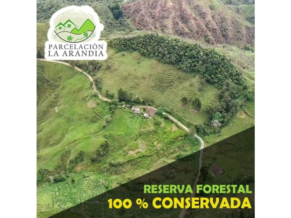 Lotes en venta en Santo Domingo, Antioquia - 2