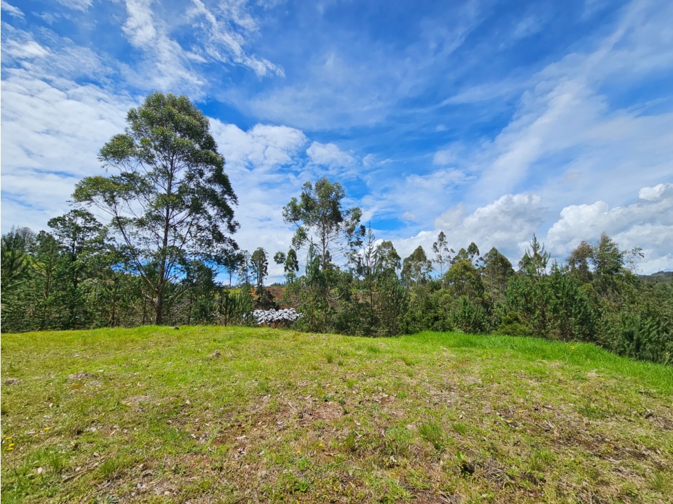 Venta Lote en Horizontes El Retiro — foto 2