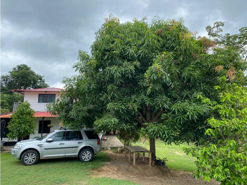 AGUA DE DIOS, FINCA DE RECREACION Y PRODUCCION EN VENTA - 1