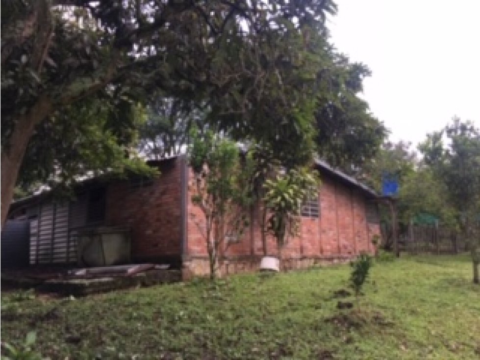 SILVANIA - FINCA DE PRODUCCION EN VENTA - 5
