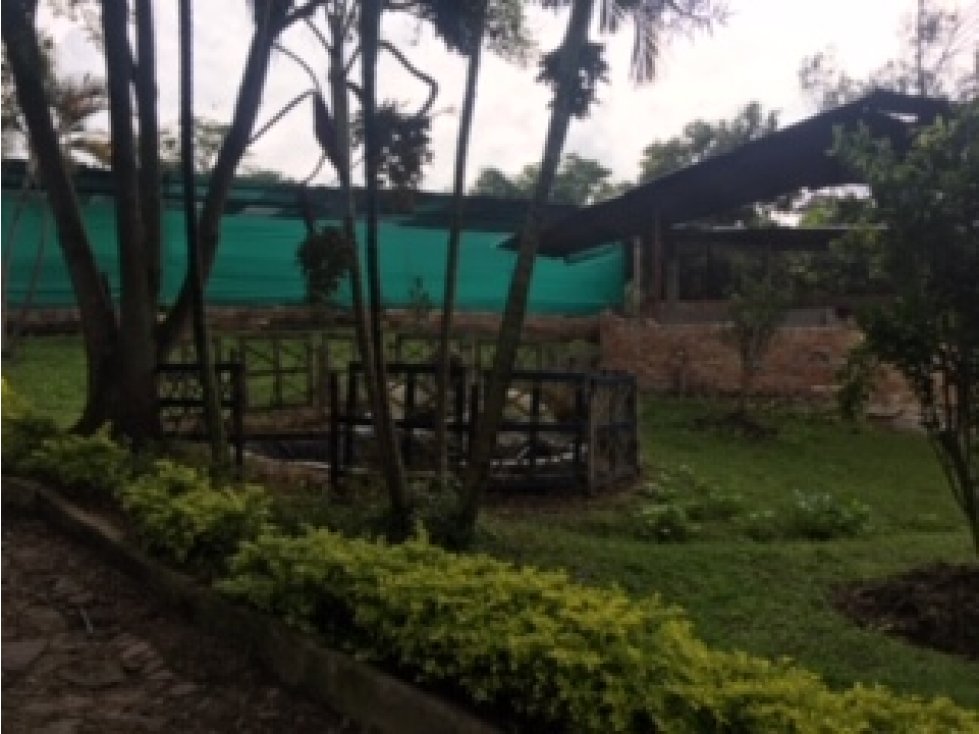 SILVANIA - FINCA DE PRODUCCION EN VENTA - 4