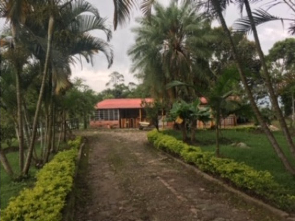 SILVANIA - FINCA DE PRODUCCION EN VENTA - 2