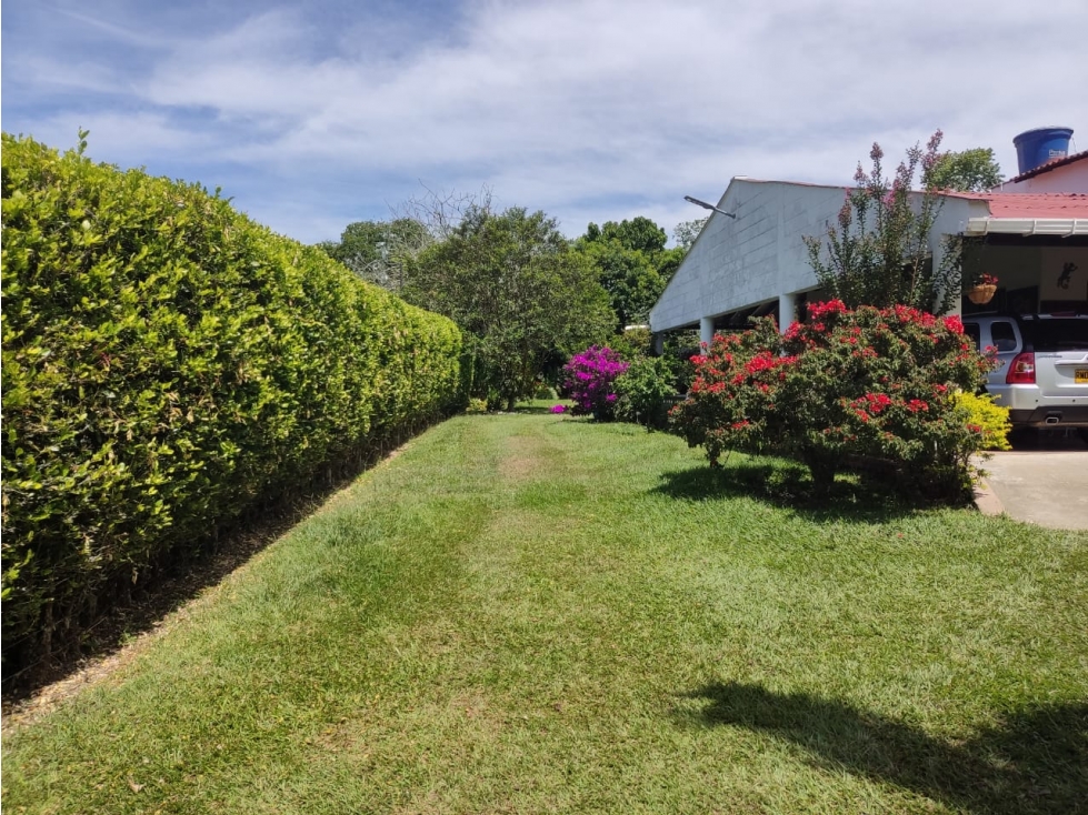 SE VENDE FINCA EN LA TEBIADA QUINDIO - 4