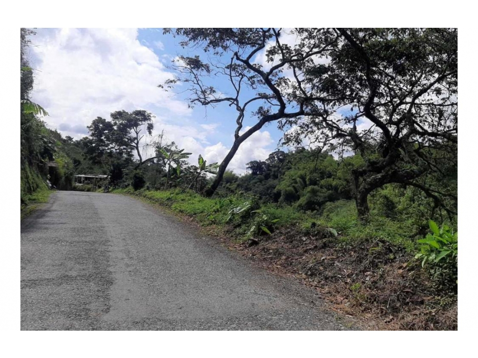 SE VENDE FINCA EN HOJAS ANCHAS CIRCASIA — foto 4