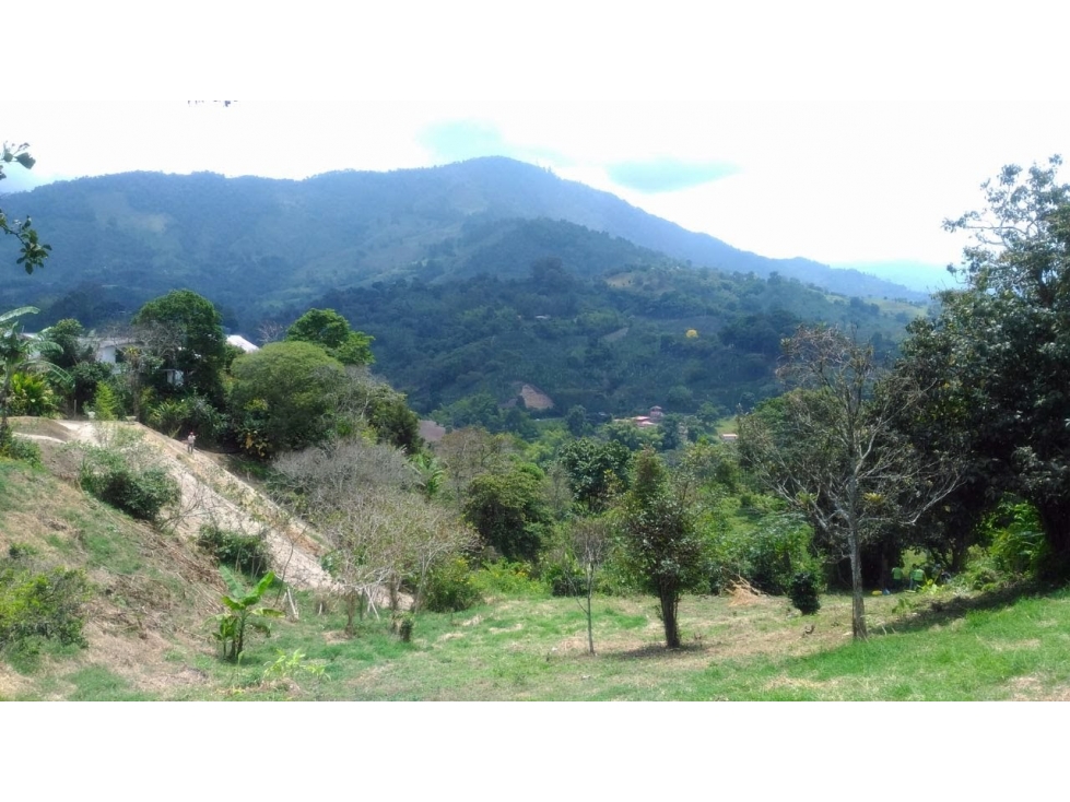 SE VENDE LOTE EN EL NORTE DE ARMENIA