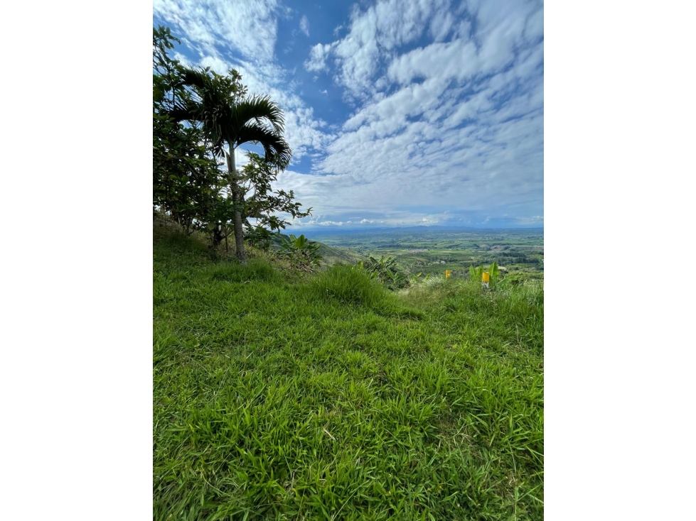 SE VENDE O SE PERMUTA FINCA EN BUENAVISTA QUINDIO - 1