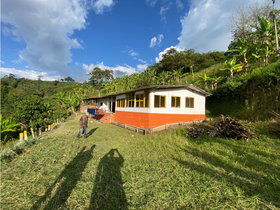 SE VENDE O SE PERMUTA FINCA EN BUENAVISTA QUINDIO - 2
