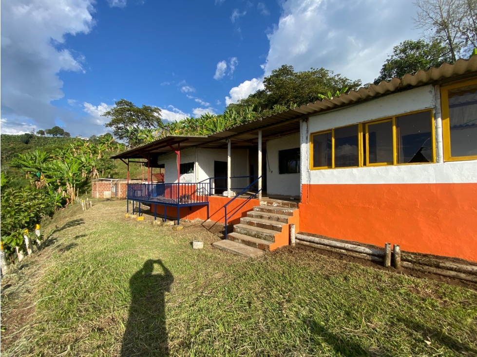 SE VENDE O SE PERMUTA FINCA EN BUENAVISTA QUINDIO - 4