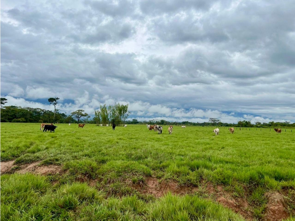 RESTREPO - META, ESPECTACULAR LOTE EN VENTA - 4