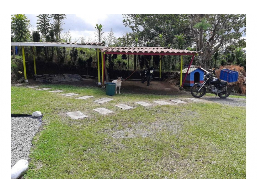 SE VENDE FINCA EN HOJAS ANCHAS CIRCASIA — foto 5