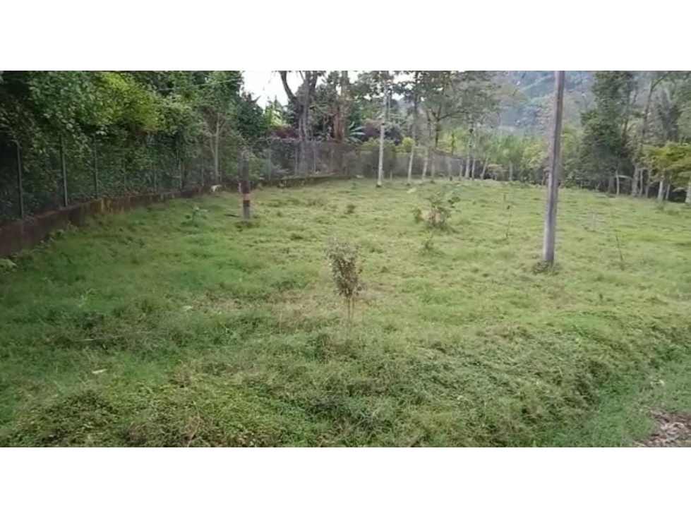 SE VENDE LOTE / TERRENO EN LA VEREDA PALESTINA, SALENTO. - 3