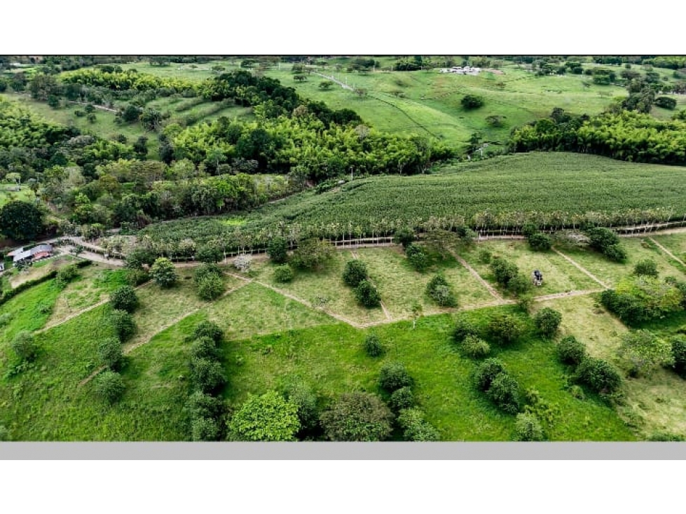SE VENDEN LOTES EN EL QUINDIO - 2