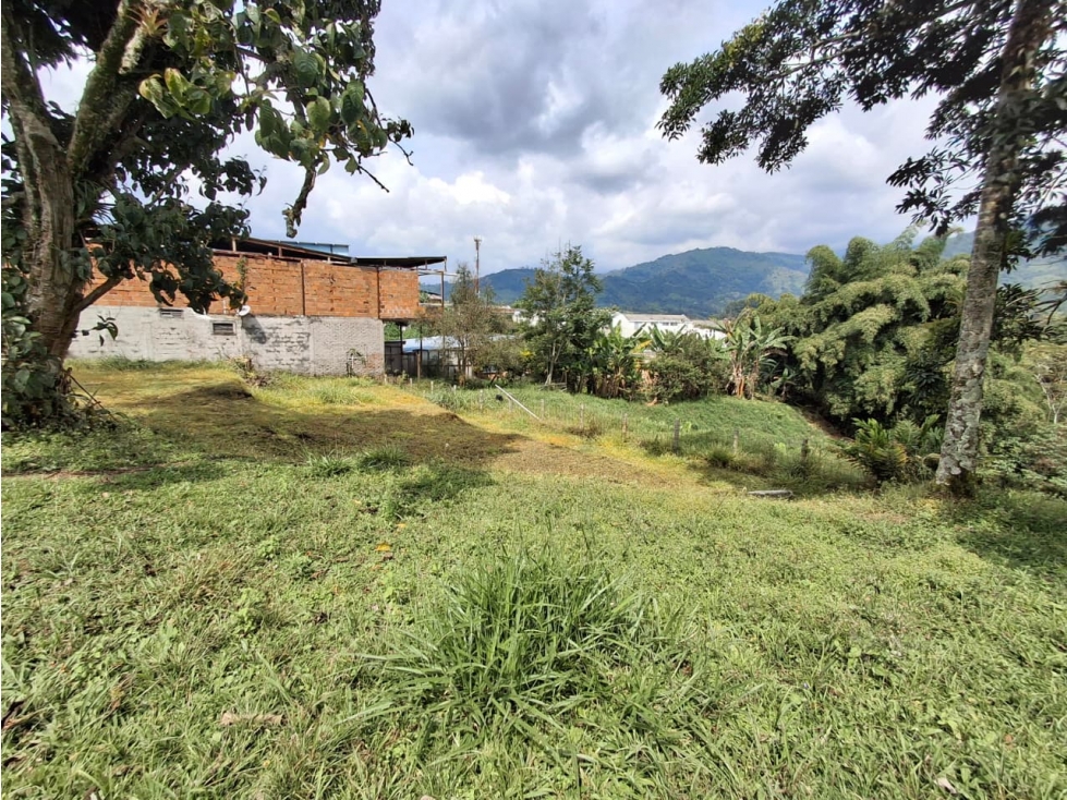 SE VENDE LOTE EN LA AV CENTENARIO ARMENIA — foto 2