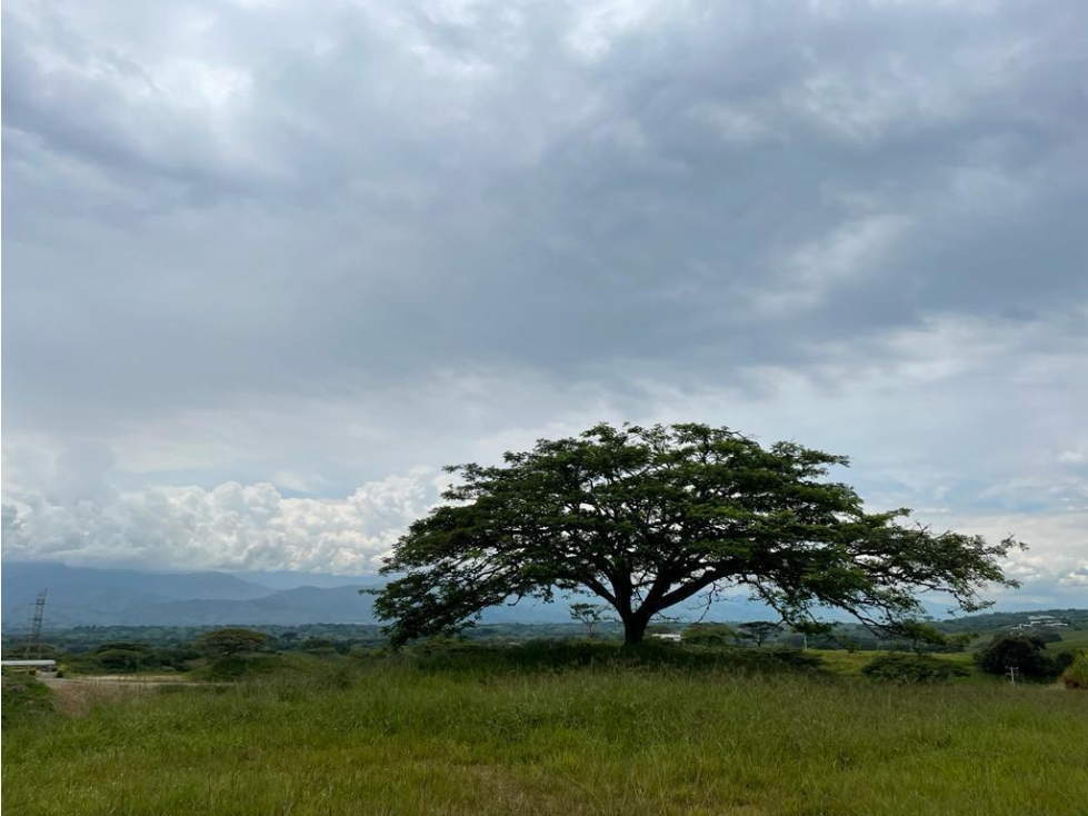 SE VENDE LOTE CONDOMINIO EL CORTIJO