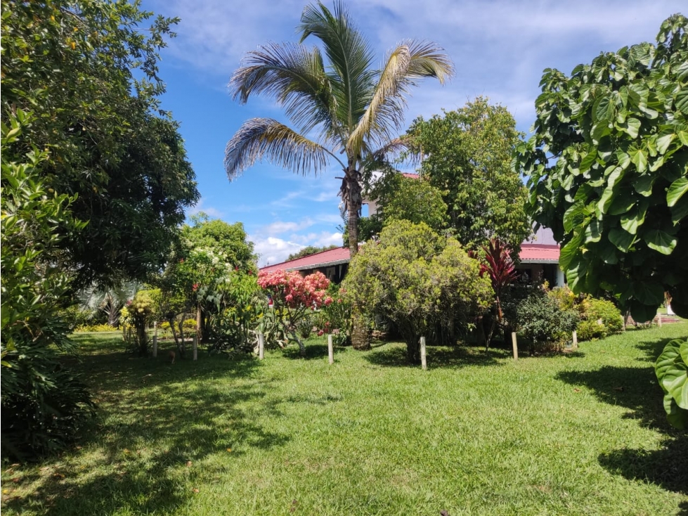 SE VENDE FINCA EN LA TEBIADA QUINDIO - 2