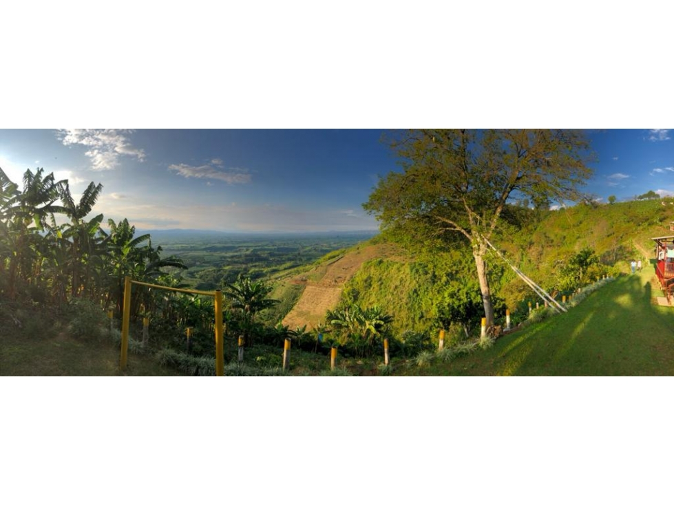 SE VENDE O SE PERMUTA FINCA EN BUENAVISTA QUINDIO - 6