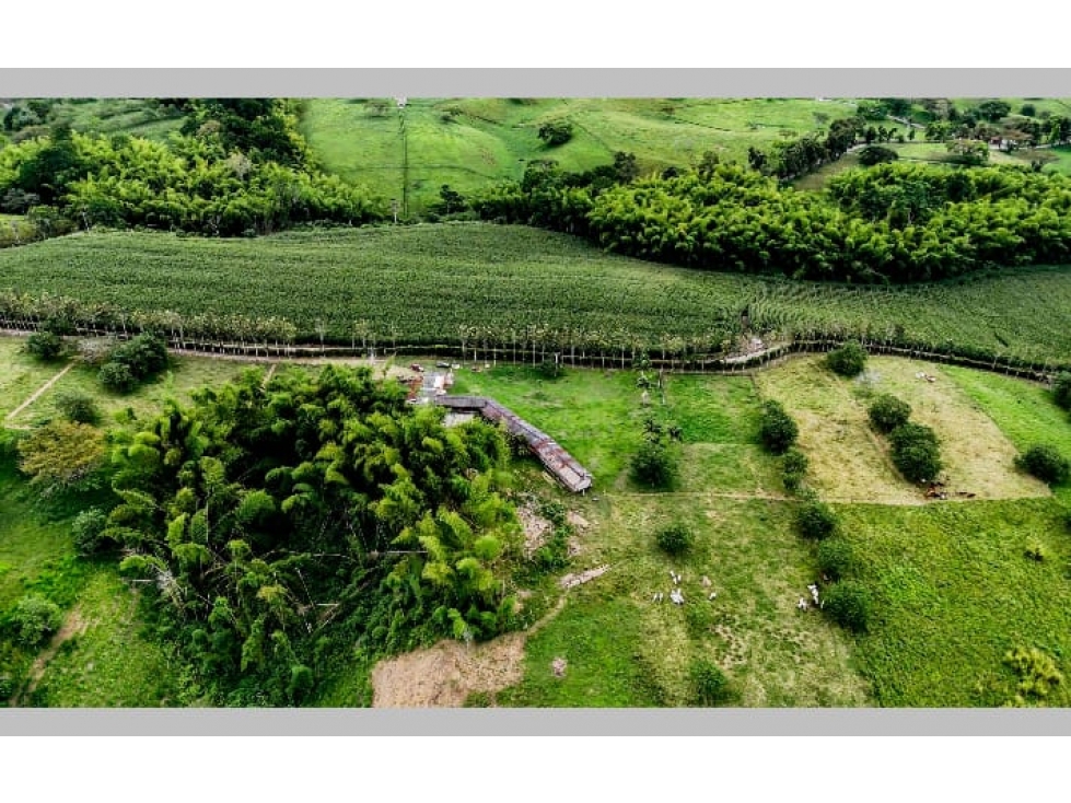 SE VENDEN LOTES EN EL QUINDIO - 4