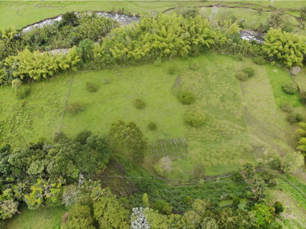 SE VENDE LOTE / TERRENO EN LA VEREDA PALESTINA, SALENTO. - 1