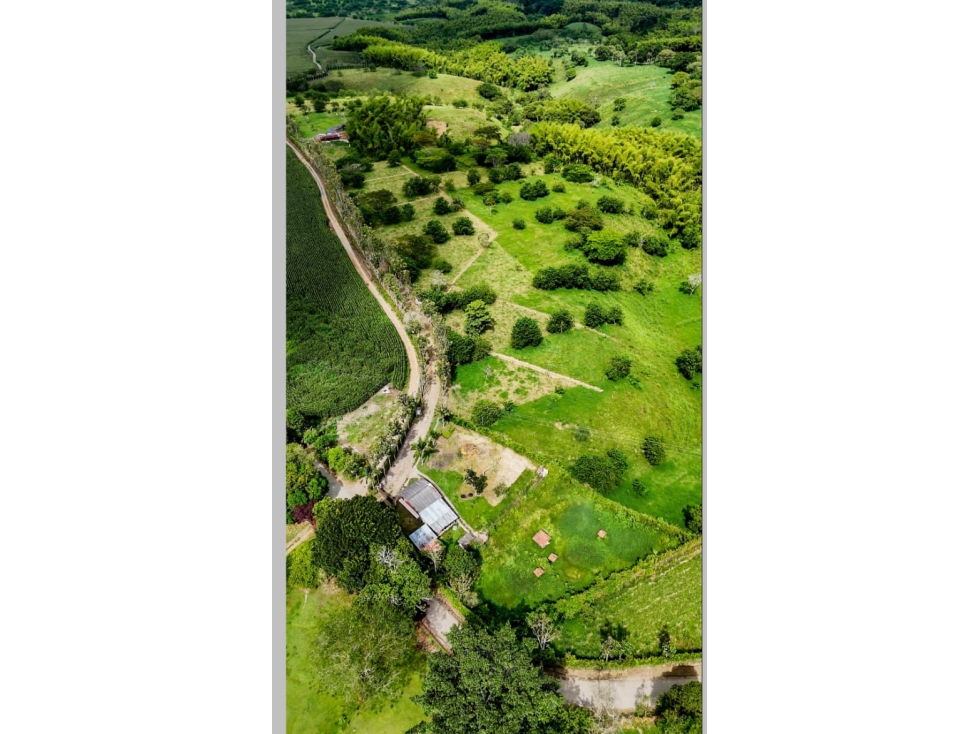 SE VENDEN LOTES EN EL QUINDIO - 5