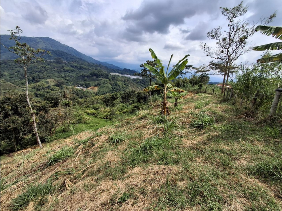 SE VENDE LOTE EN LA AV CENTENARIO ARMENIA — foto 5