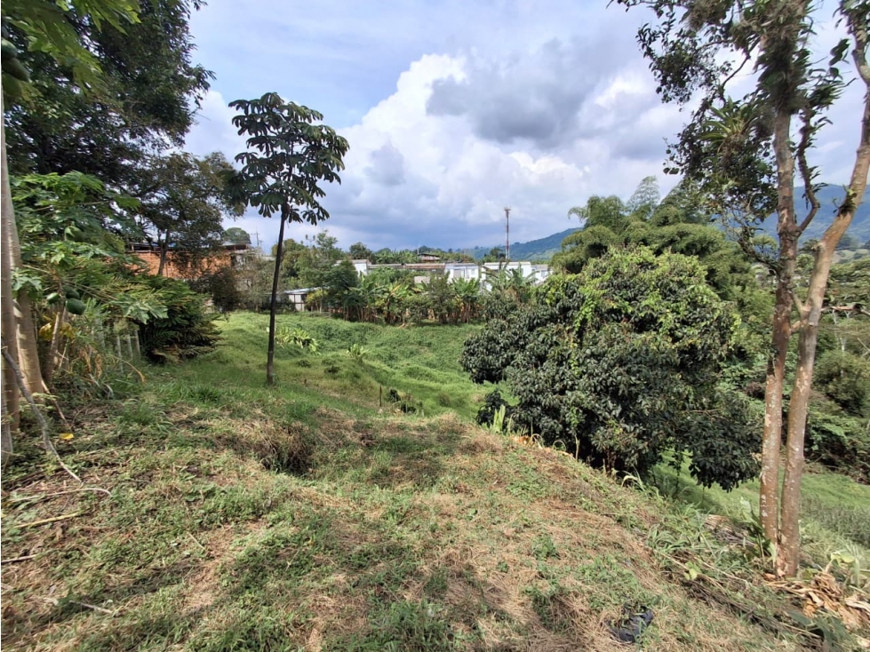 SE VENDE LOTE EN LA AV CENTENARIO ARMENIA — foto 6