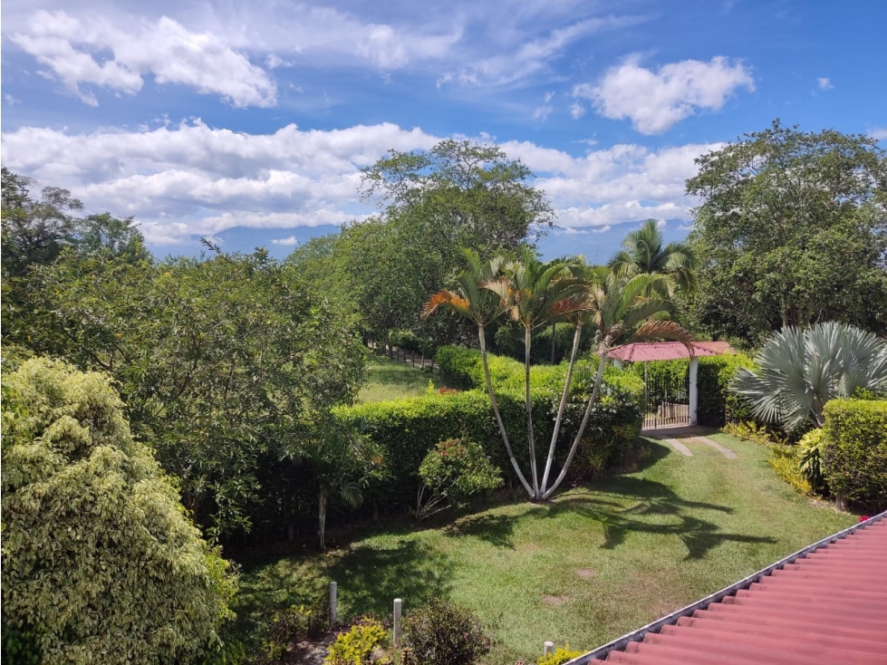 SE VENDE FINCA EN LA TEBIADA QUINDIO - 5