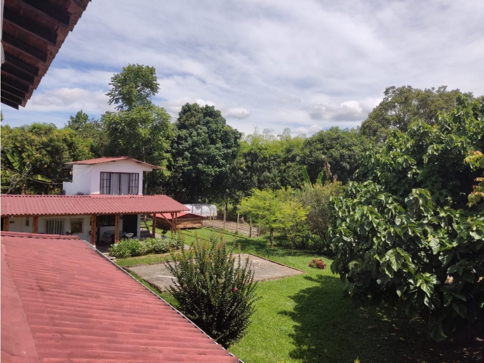 SE VENDE FINCA EN LA TEBIADA QUINDIO - 6