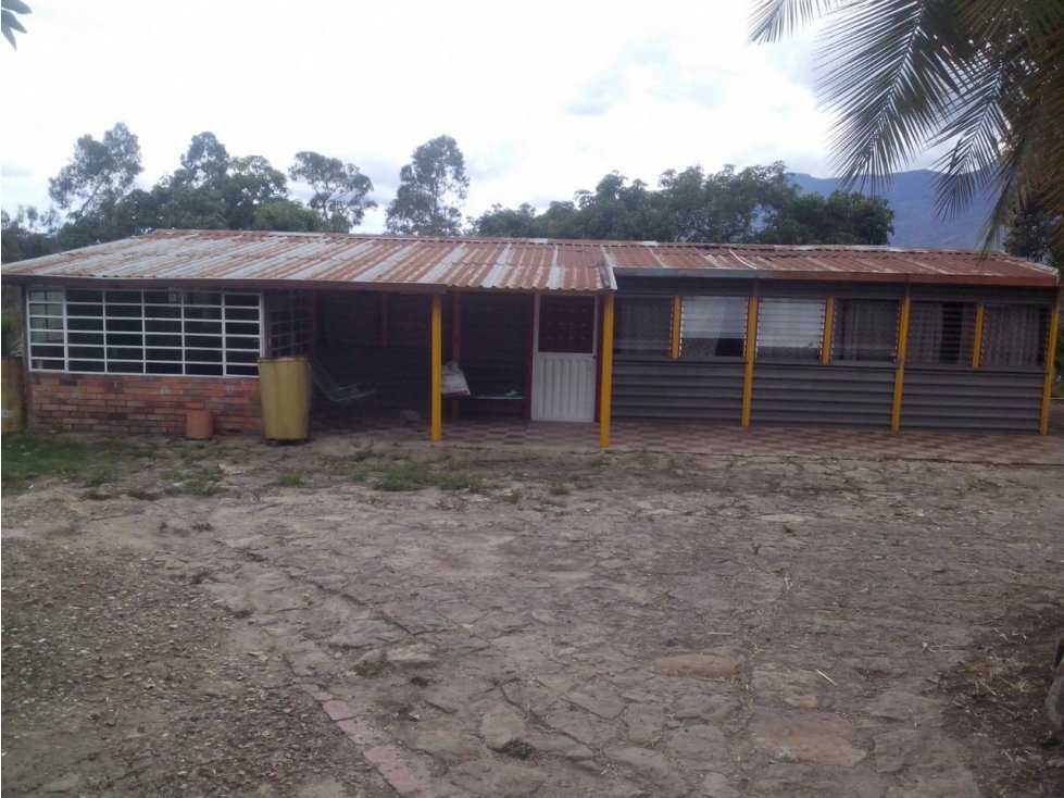 SILVANIA - FINCA DE PRODUCCION EN VENTA - 3