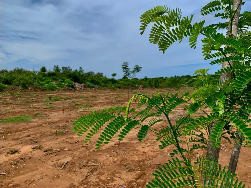 Terrenos en Tonala - 5